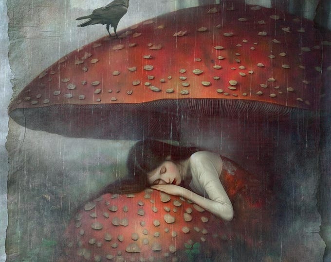 SIGNED NUMBERED GICLEE art print - "The Umbrella"