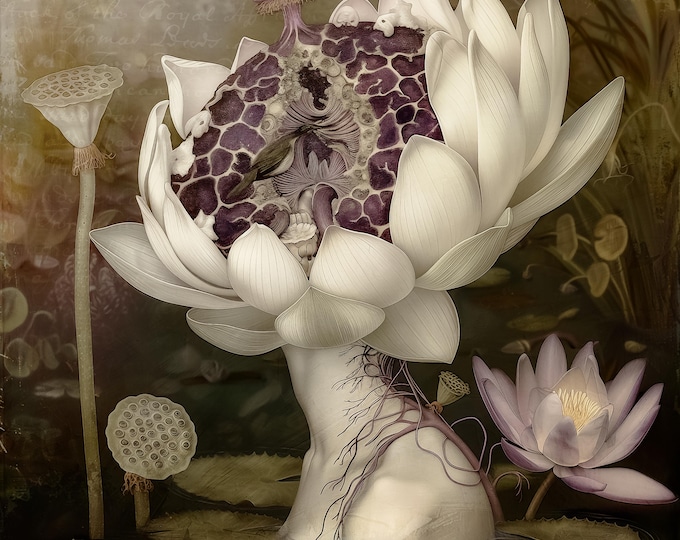 SIGNED NUMBERED GICLEE art print - The Lotus #3