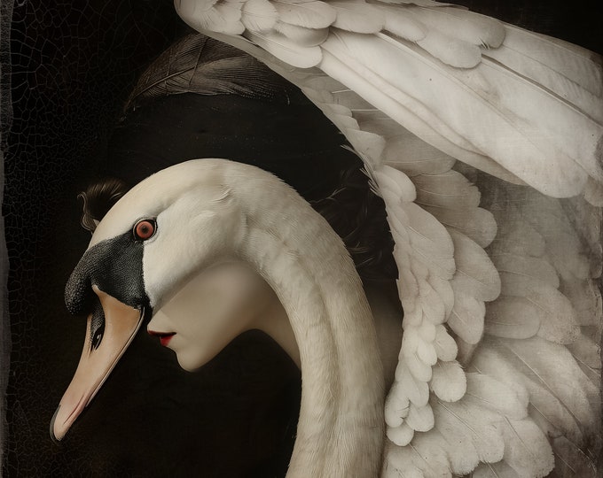 SIGNED NUMBERED PRINT - The Swan