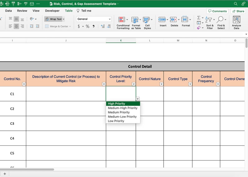 Risk Assessment and Risk Register Template: Excel & Google Sheets - Etsy