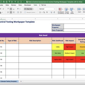 Alles-in-één sjabloon voor risico- en controlebeoordeling voor interne/IT-audits (Excel) - stroomlijn je documentatieproces