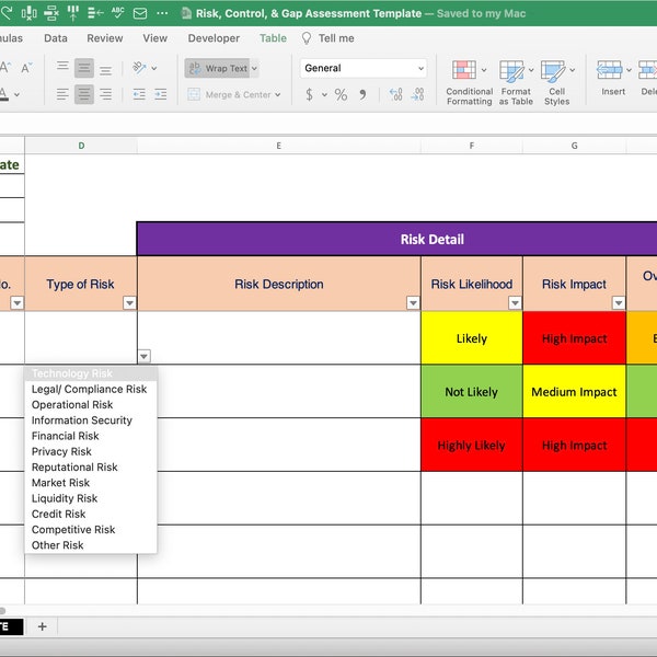 Risk, Control, & Gap Assessment Template and Tracker (Excel and Google Sheets Compatible)