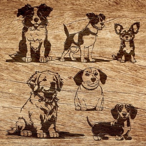 Perro australiano, Dorado, JackRussle, Chiwawa SVG ? Perrito SVG ? hermoso perro svg