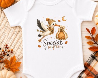 Stork Baby Bodysuit, Pregnancy Announcement, Baby Fall Outfit, Baby Halloween Outfit, Infant Bodysuit, Baby Shower Gift, Newborn Gift