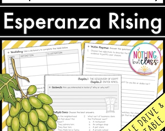 Esperanza Rising | Comprehension and Vocabulary by chapter | Guided Reading | Worksheets for Novel Study