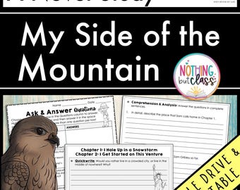 My Side of the Mountain Novel Study Unit | Literature Guide, Worksheets, Activities, Tests, ELA Reading Comprehension, Book Study