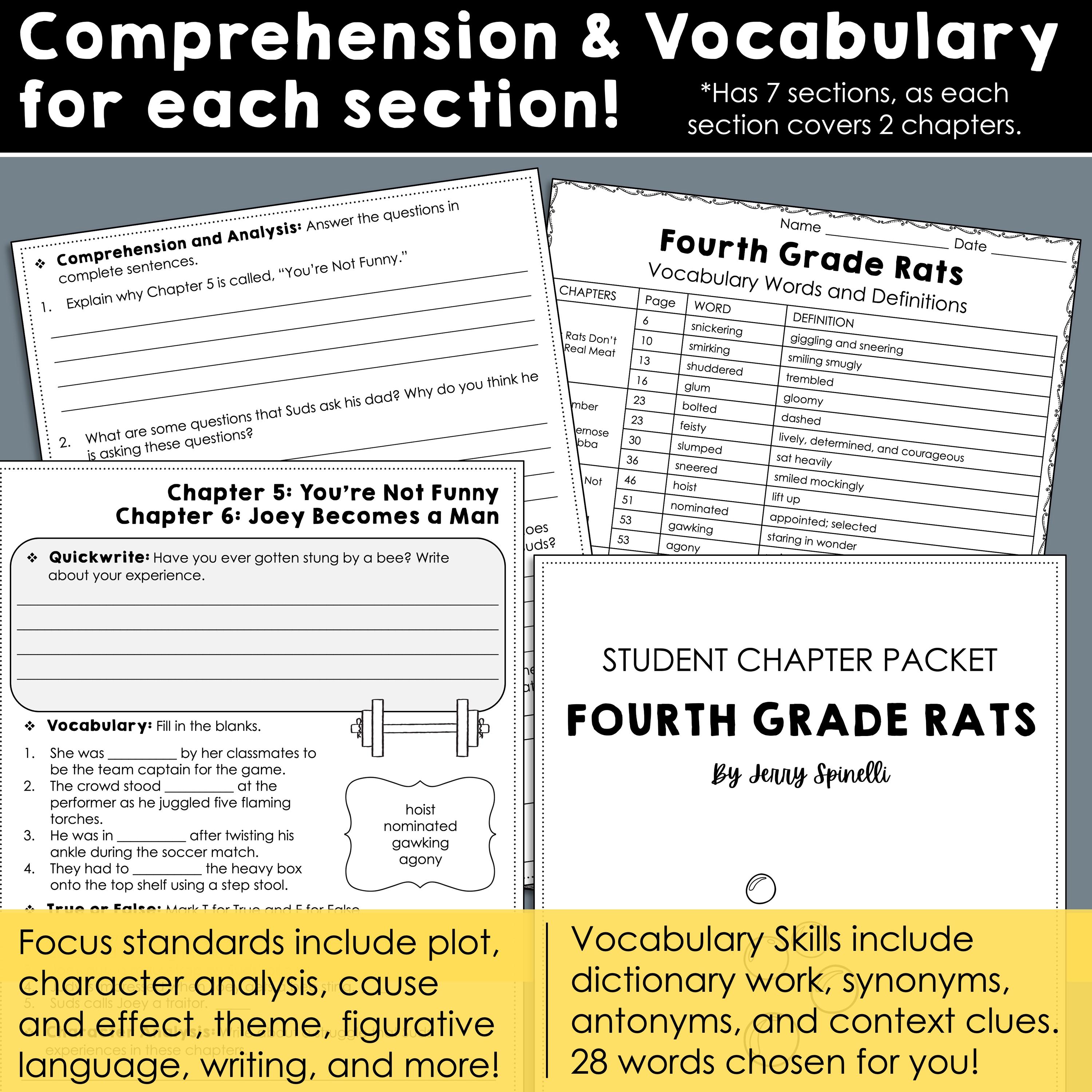 Fourth Grade Rats | Comprehension and Vocabulary by Chapter | Guided ...