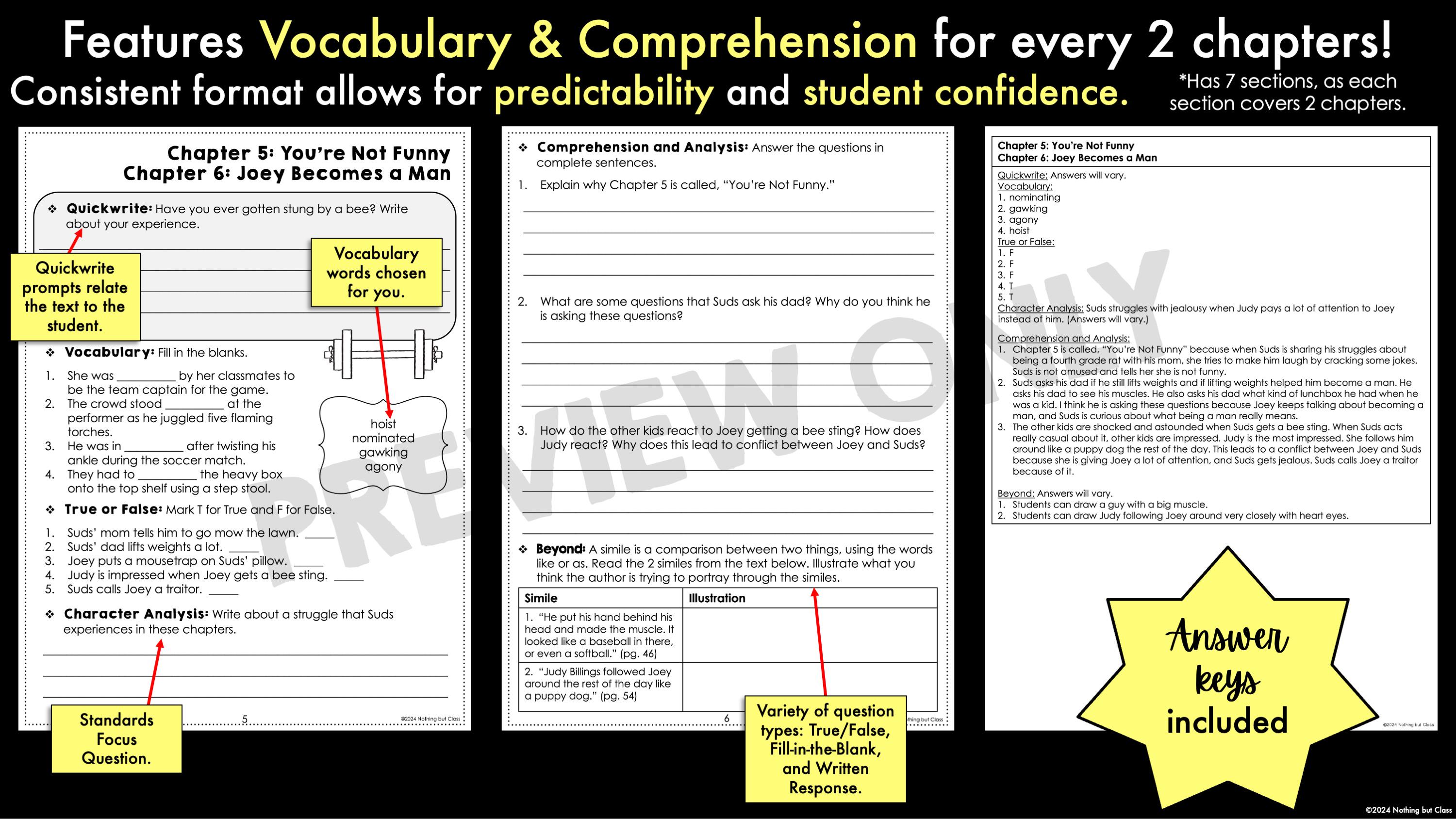 Fourth Grade Rats | Comprehension and Vocabulary by Chapter | Guided ...