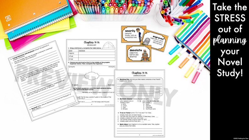 Holes | Comprehension and Vocabulary by Chapter | Guided Reading ...