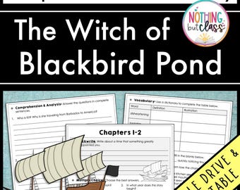 The Witch of Blackbird Pond | Comprehension and Vocabulary by chapter | Guided Reading | Worksheets for Novel Study
