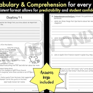 Because of Winn-dixie | Comprehension and Vocabulary by Chapter ...