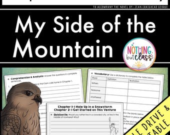My Side of the Mountain | Comprehension and Vocabulary by chapter | Guided Reading | Worksheets for Novel Study