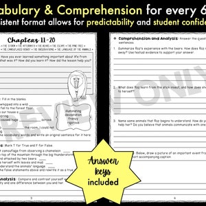 The Wild Robot Novel Study Unit | Literature Guide | Comprehension ...
