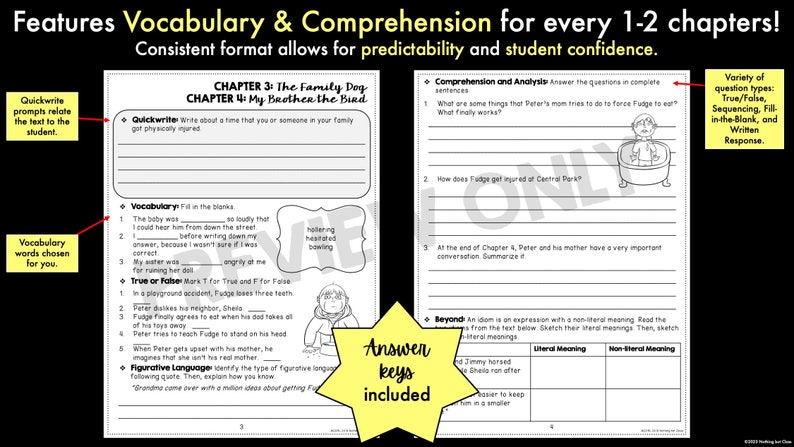 Tales of a Fourth Grade Nothing Novel Study Unit | Literature Guide ...