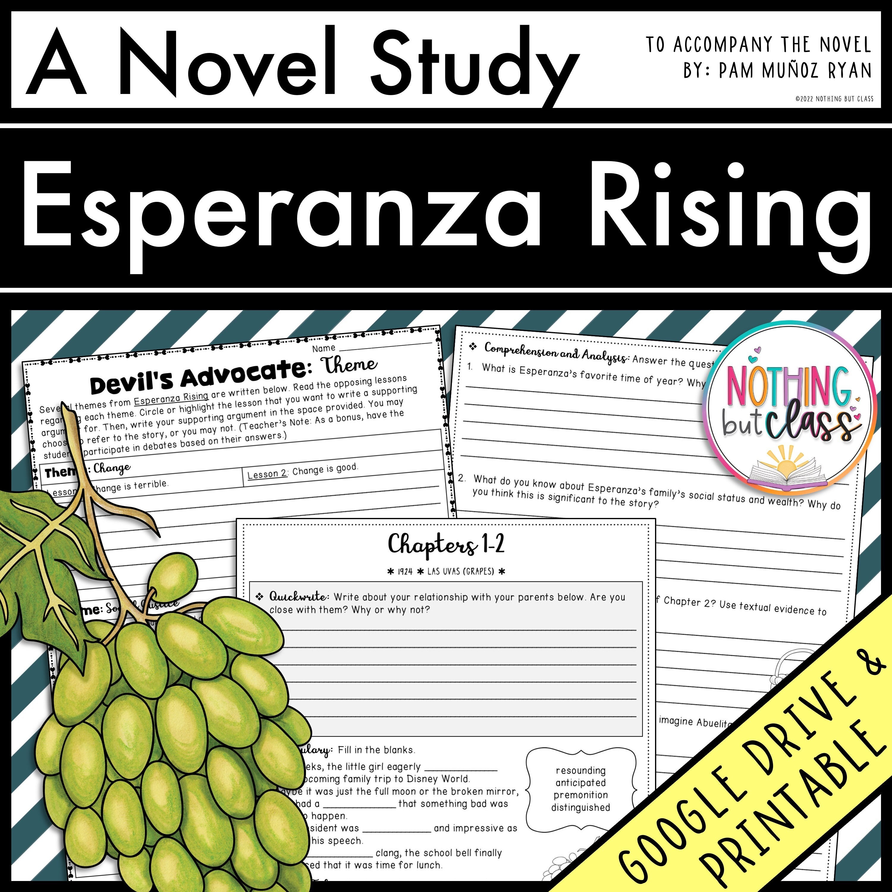 Esperanza Rising Novel Study Unit Literature Guide Comprehension