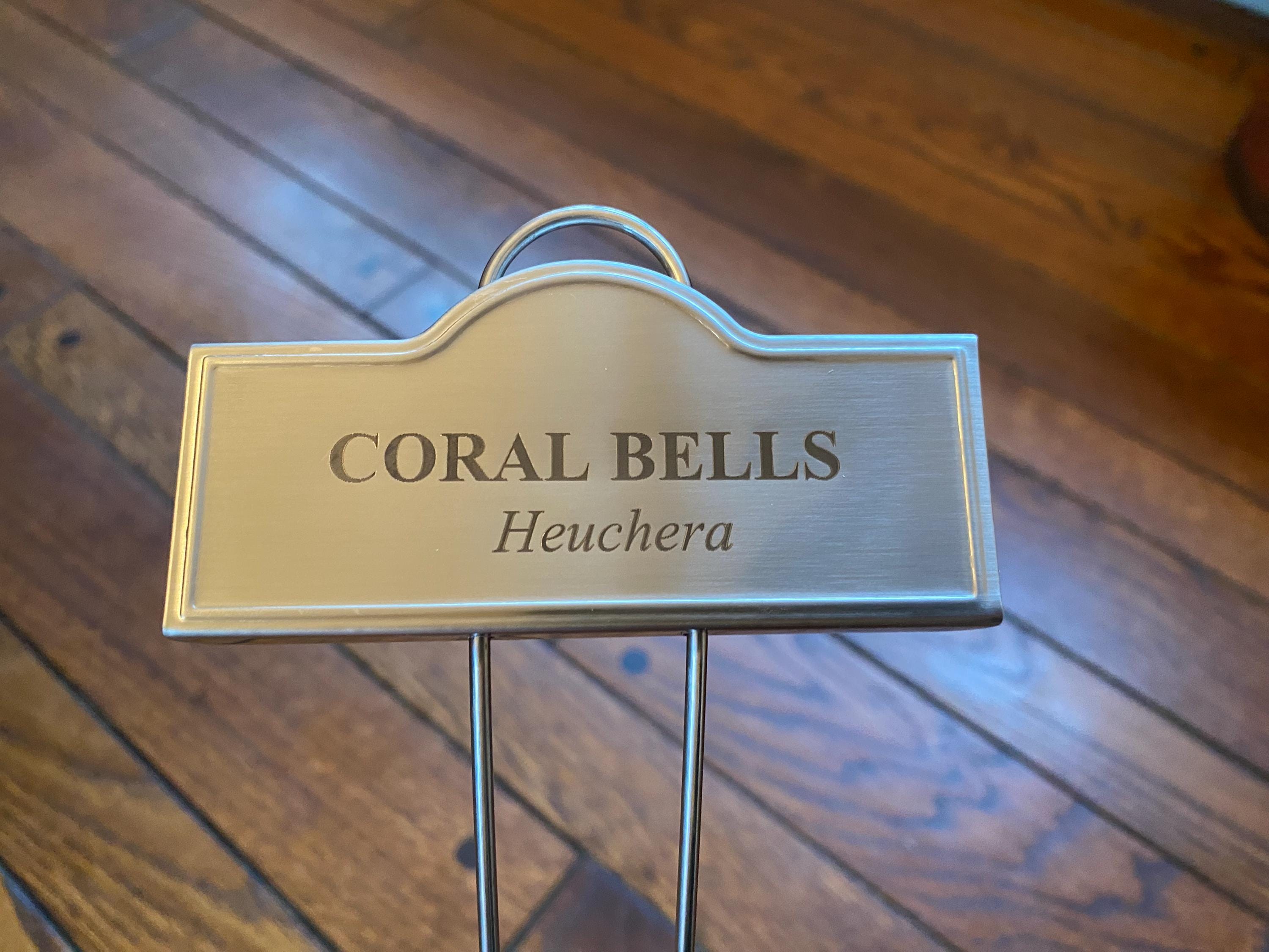 Custom Engraved Labels - Shipped With 11