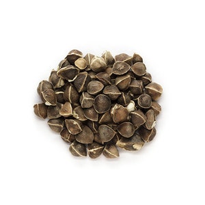 Fresh Moringa Seeds Imported From Thailand