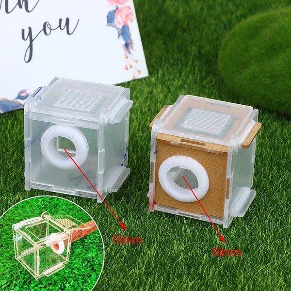 Acrylic Ant Farm Connection Kit with DIY Feeding Box - Explore the World of Ants!