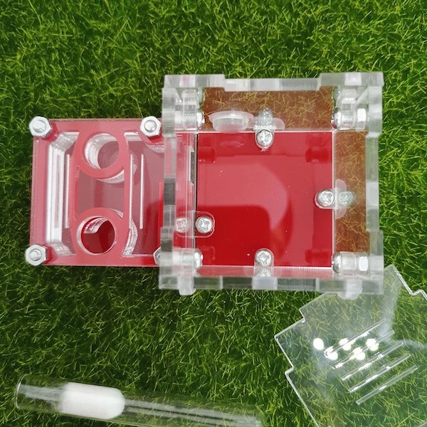 New Small 3D printed ant farm for new Queen or small colony ants