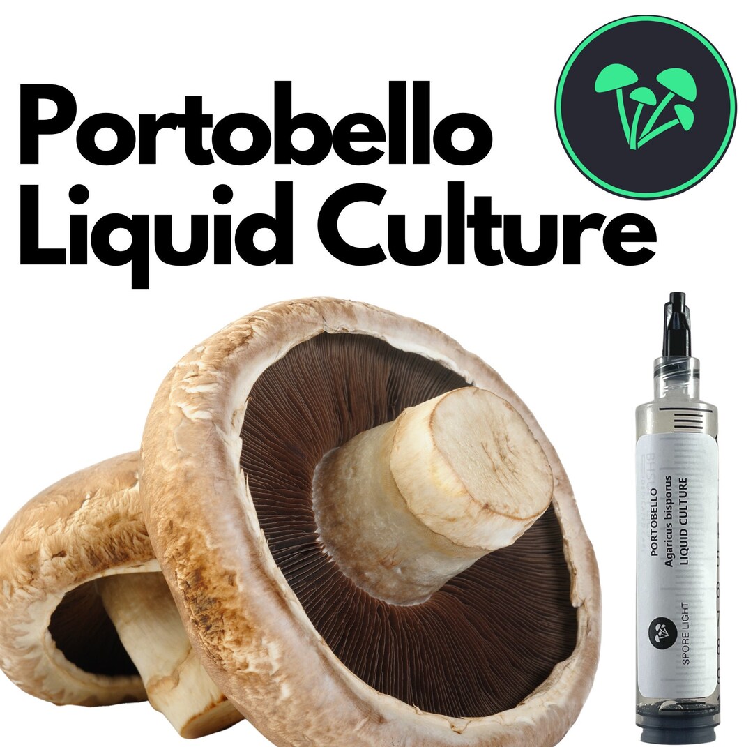 Portobello Liquid Culture Single 10ml Syringe DIY Etsy