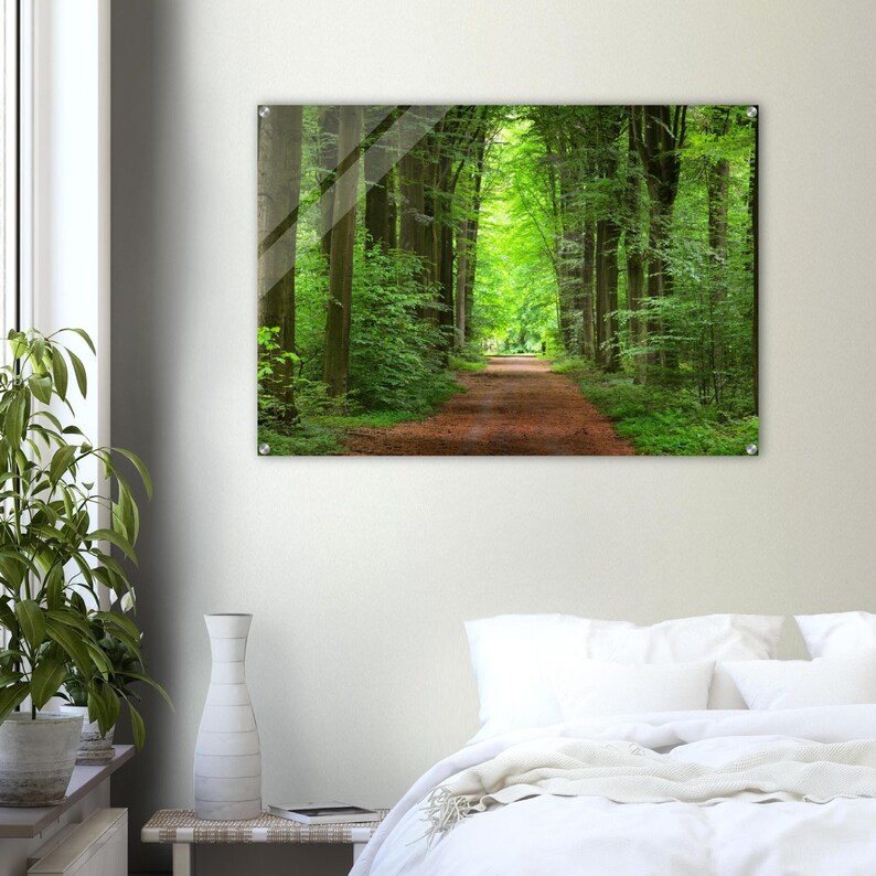 Acrylic Wall Art Forest Forest Tree Wall Decor Large Wall Print Modern