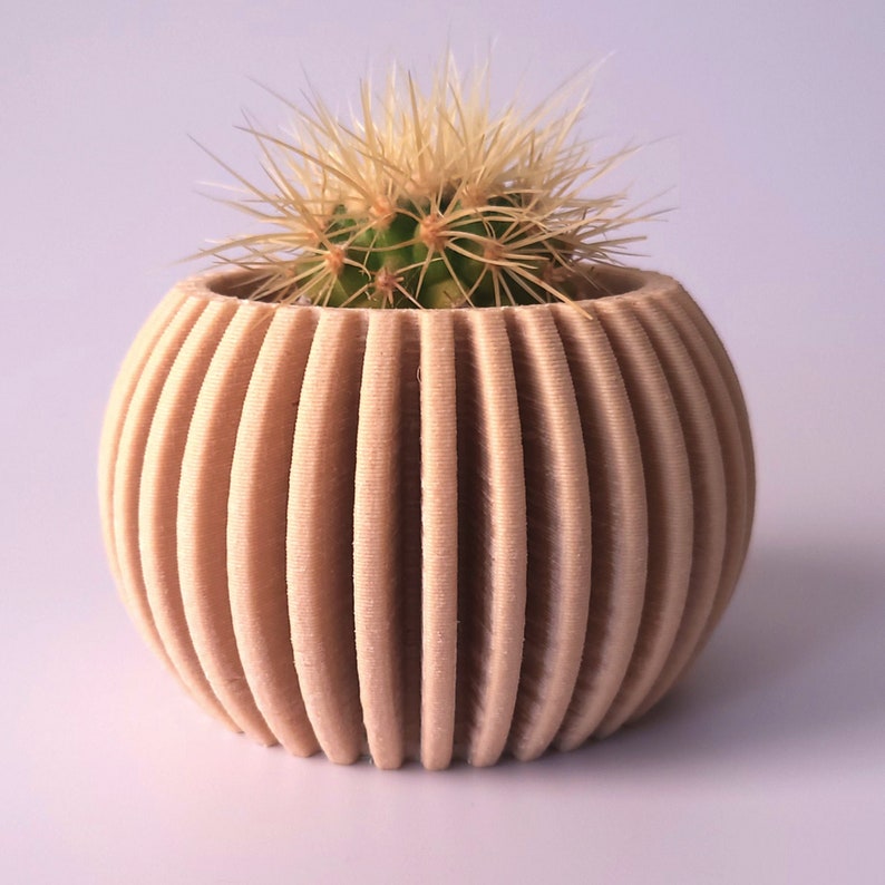 Curated visual reference: Visual Reference: 3D Printed Indor Planter For Succulents Made With Eco Friendly