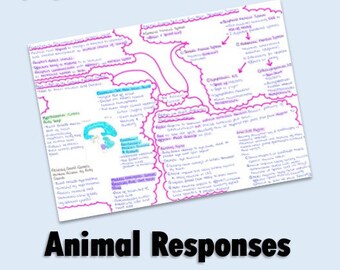 A Level Note Biology - Animal Responses - A Level biology note bio revision guide for alevel biology revision guide mind map mindmap