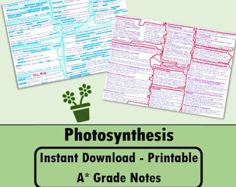 A Level Biology Revision Guide - Photosynthesis Biology Study Note for ALevel gift for student revision note bio notes for college present