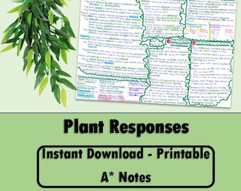A Level Note Biology - Plant Responses - A Level biology note biology revision guide mindmap study guide for plant lovers student gift
