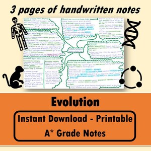 Könnte beinhalten: Eine bunte handgeschriebene Seite mit Notizen zur Evolution. Die Seite enthält Diagramme eines Skeletts, eines Affen, der DNA und eines Kreises mit drei Punkten. Der Text auf der Seite enthält die Wörter "Evolution" und "3 Seiten handgeschriebener Notizen".