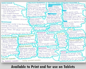 The Best A level Tudor Revision Guide History ALevel History Tudors Exam prep Study Notes for revising A-Level History Monarch and Dynasty