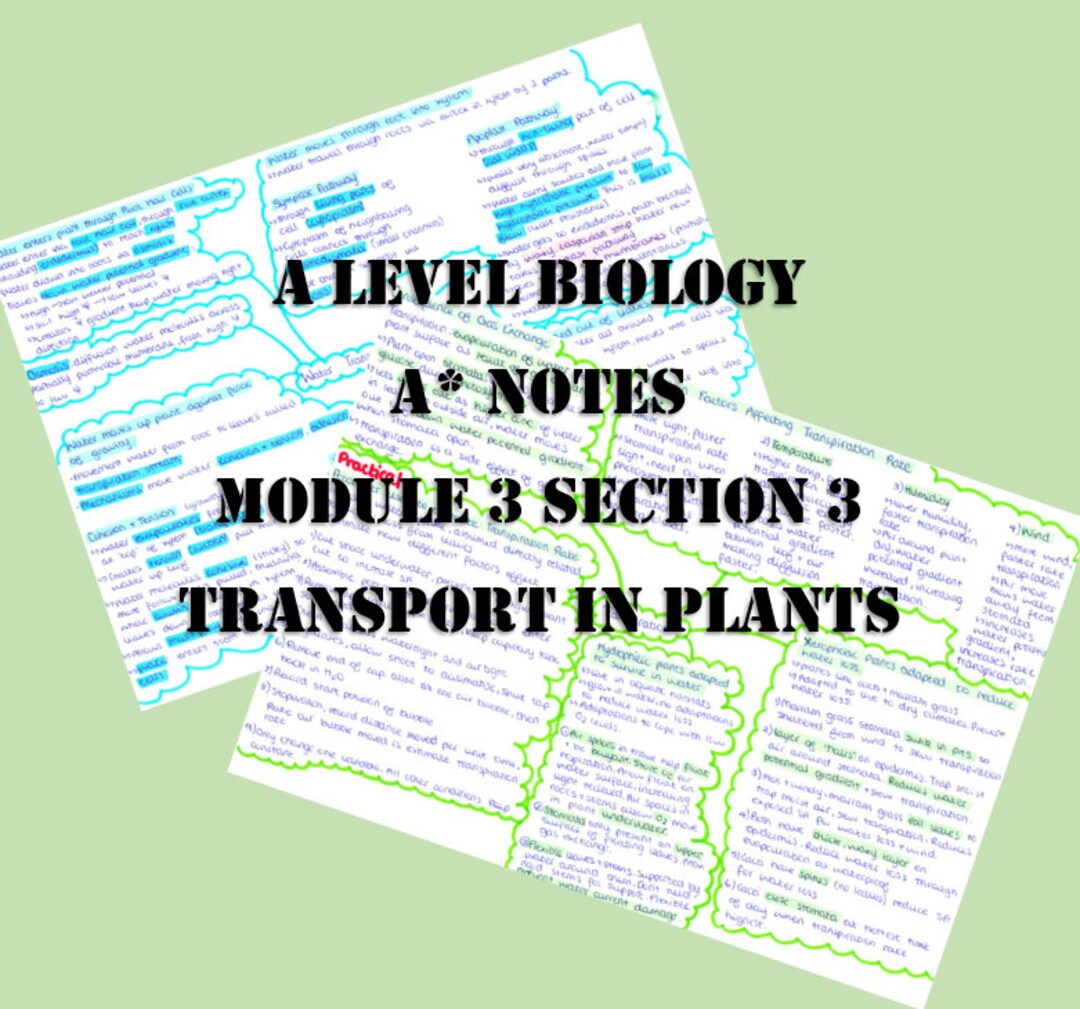 A Level Biology Revision Notes - Transport in Plants - Plant Gift Plant ...