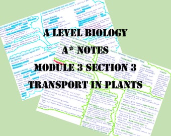 A Level Biology Revision Notes - Transport in Plants - plant gift plant biology plant present plant lady student revision guide biology