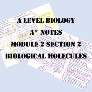 A Level Biology Revision Notes - Biological Molecules - gift for student revision guide college study notes back to school leavers gift