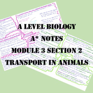 May include: A Level Biology A* Notes Module 3 Section 2: Transport in Animals. Handwritten notes on white paper with green and purple highlights.
