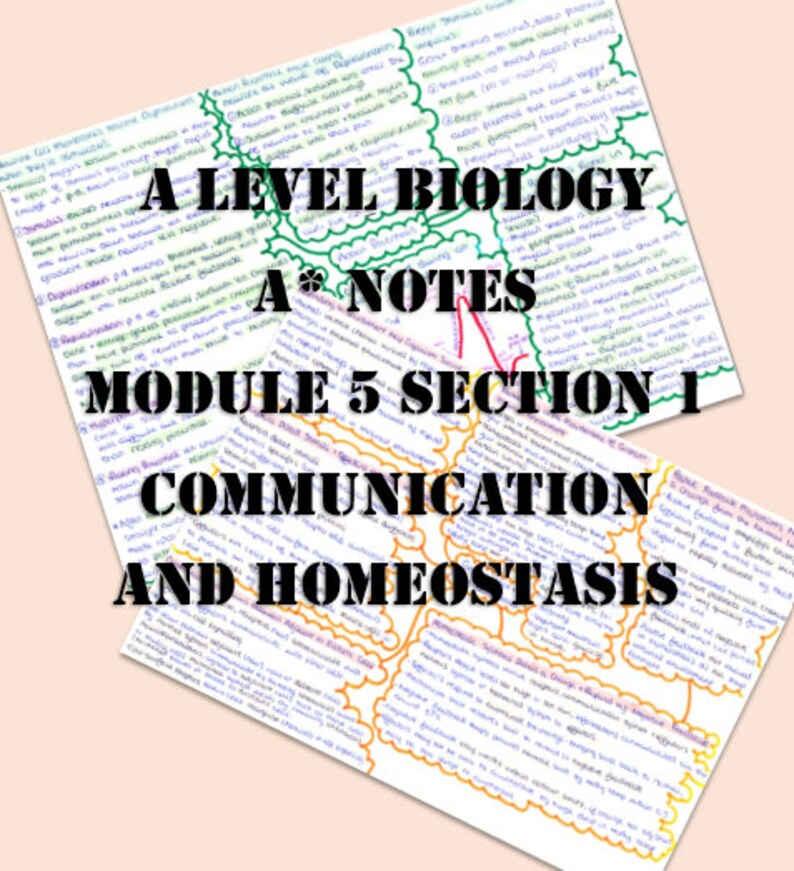 A Level Biology Revision Study Notes - Communication and Homeostasis ...