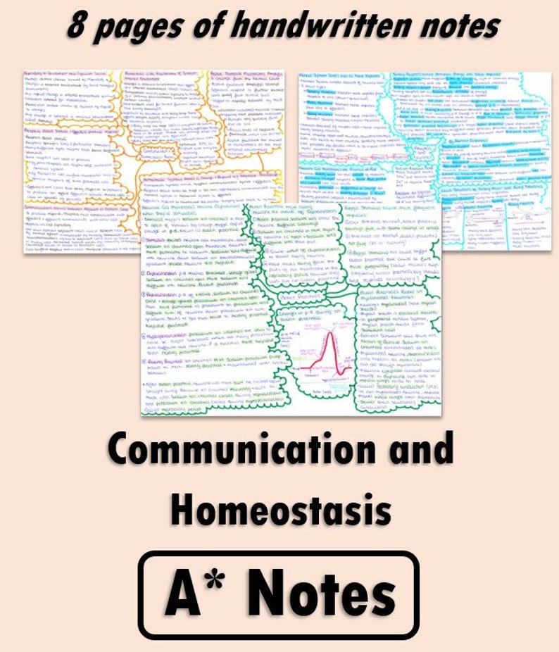 A Level Biology Revision Study Notes - Communication and Homeostasis ...
