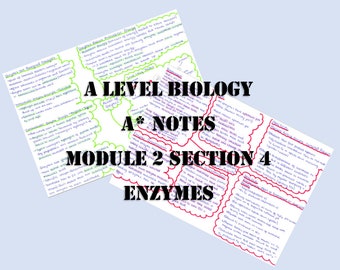 Biology Revision Guide ALevel Biology Enzymes Revision Notes for A Level Bio Active Site Induced Fit Model Note for OCR Edexcel AQA Biology