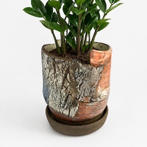 Puede incluir: Una planta ZZ en una maceta de cerámica texturizada. La maceta tiene un diseño único con tonos de marrón, azul y naranja. La planta tiene múltiples tallos con hojas verdes brillantes. La maceta se asienta sobre un platillo a juego.