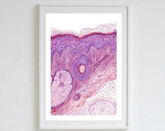 May include: A framed print of a skin cross-section, showcasing layers in shades of purple and pink. The artwork hangs on a white wall above a small wooden table with a vase of flowers and a modern chair with a black seat.