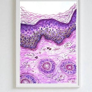 May include: A framed watercolor print depicting a cross-section of skin. The artwork features layers of purple and pink hues, with detailed cellular structures and a white background. The image is encased in a white frame.