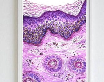 May include: A framed watercolor print depicting a cross-section of skin. The artwork features layers of purple and pink hues, with detailed cellular structures and a white background. The image is encased in a white frame.