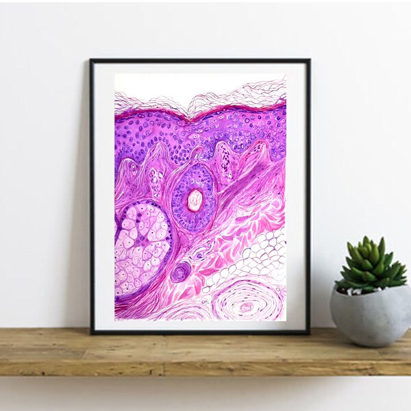 Pathology Art - Etsy