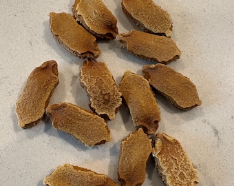 Semillas de Indian Bitter Guard - Paquete de 12 semillas (orgánicas, de rápida germinación y con una increíble cosecha anual).