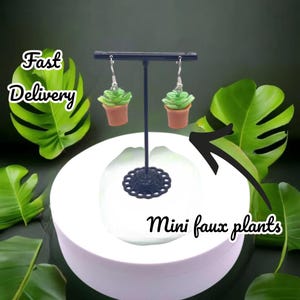 Sukkulenten Blumentopf Ohrringe: Fun 925 Silber Haken, Hypoallergen