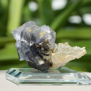May include: A cluster of purple fluorite crystals with black and gold inclusions, displayed on a clear glass base.