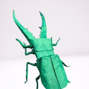 Origami Beetle