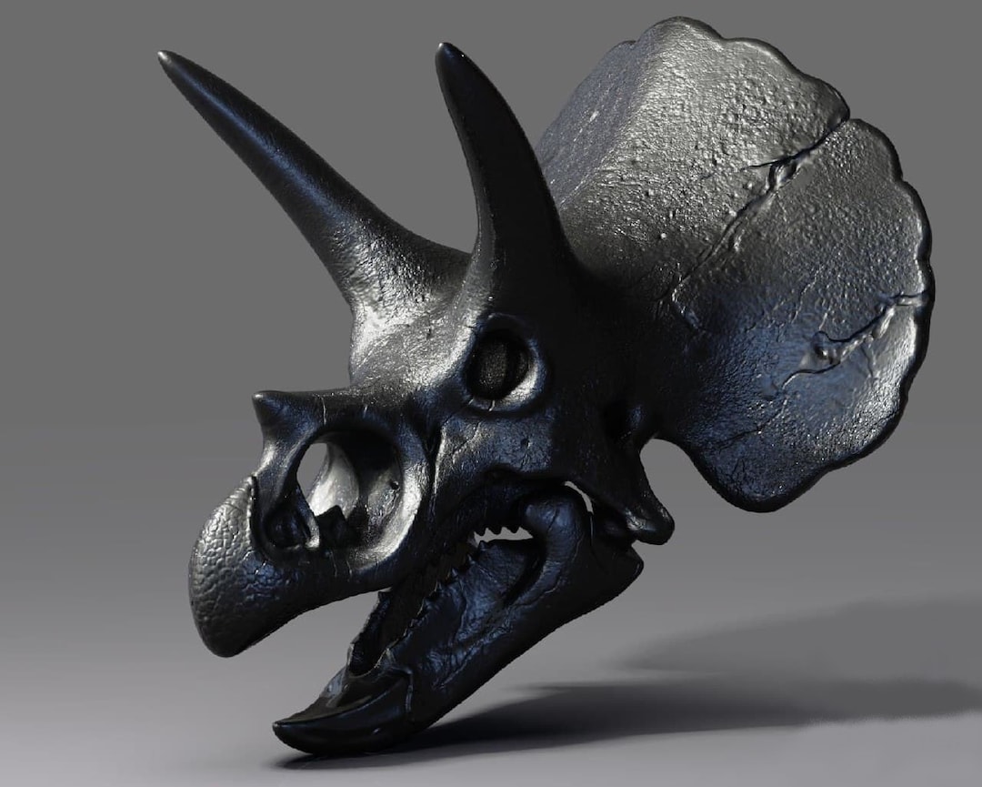 Triceratops Skull 3d Model Stl File For 3d Printers Print Etsy