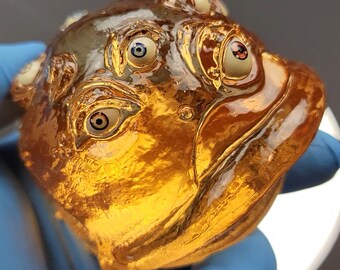 Spog (Clear Orange Glossy)