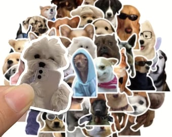 Sticker-Set »Hundeglück« – Originalfoto aus dem Etsy-Listing